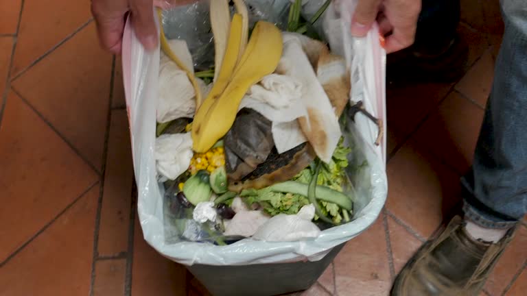 Best Recycling Services for Junk  in Litchfield, MN