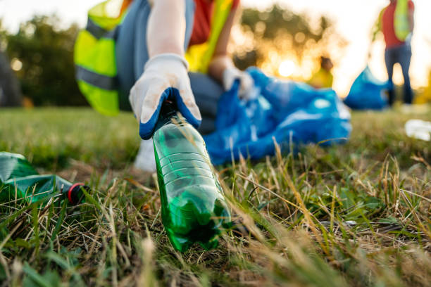 Best Recycling Services for Junk  in Litchfield, MN